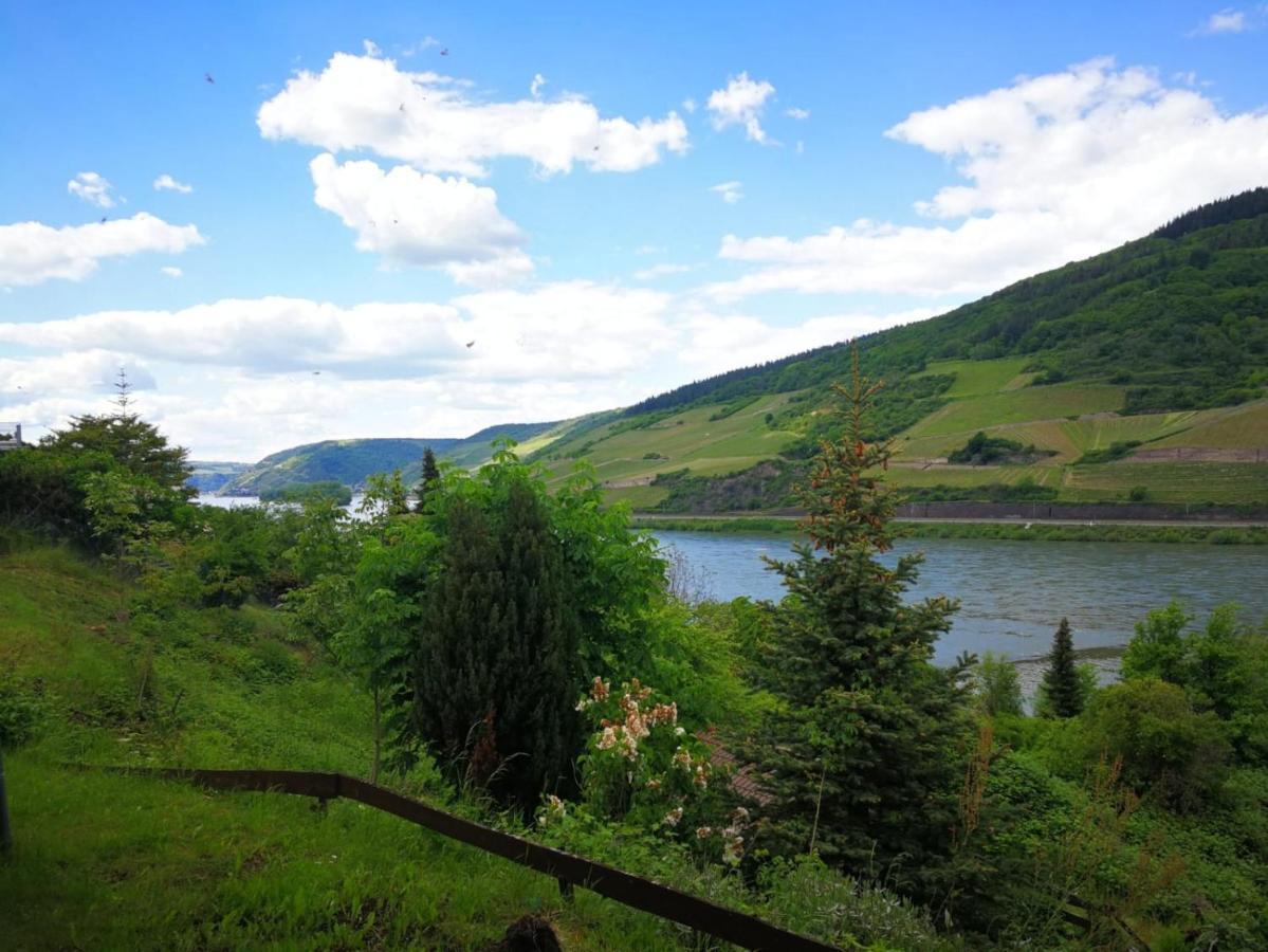 Wunderschoene Aussicht Garantiert Trechtingshausen Exterior photo
